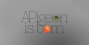 Apigeon is born
