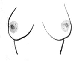 la forme de vos seins 10