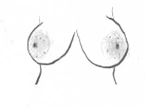 la forme de vos seins 8