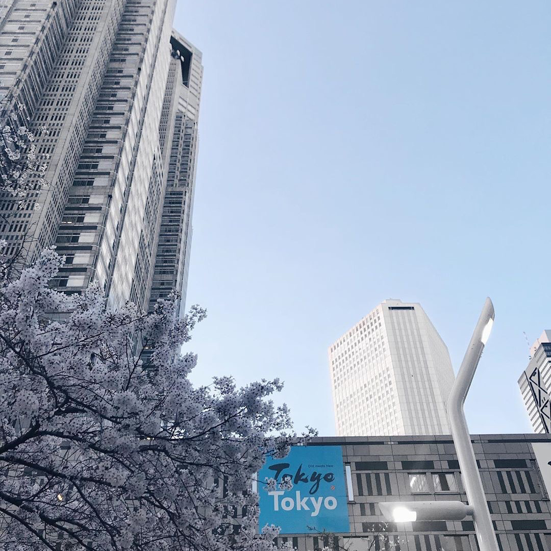 16 Choses A Faire A Tokyo Blog And The City