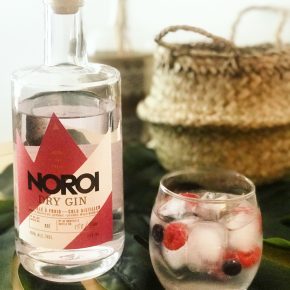 Dry Gin Petits Fruits - Distillerie NOROI