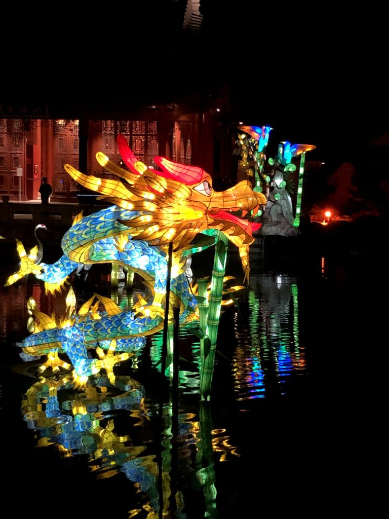 Jardin de Chine - Lanterne Dragon